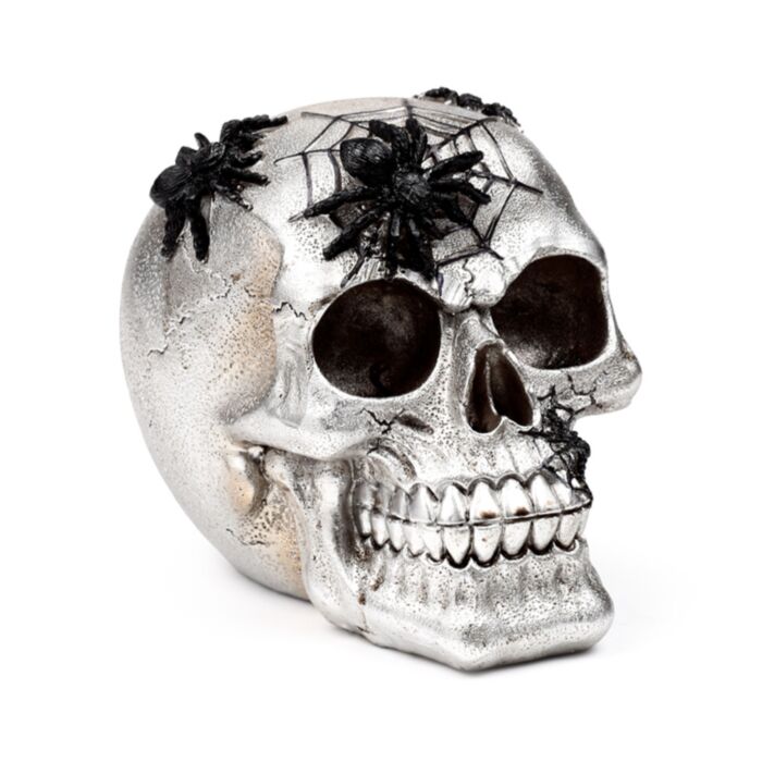 Figura Calavera Gris con Arañas y Telarañas