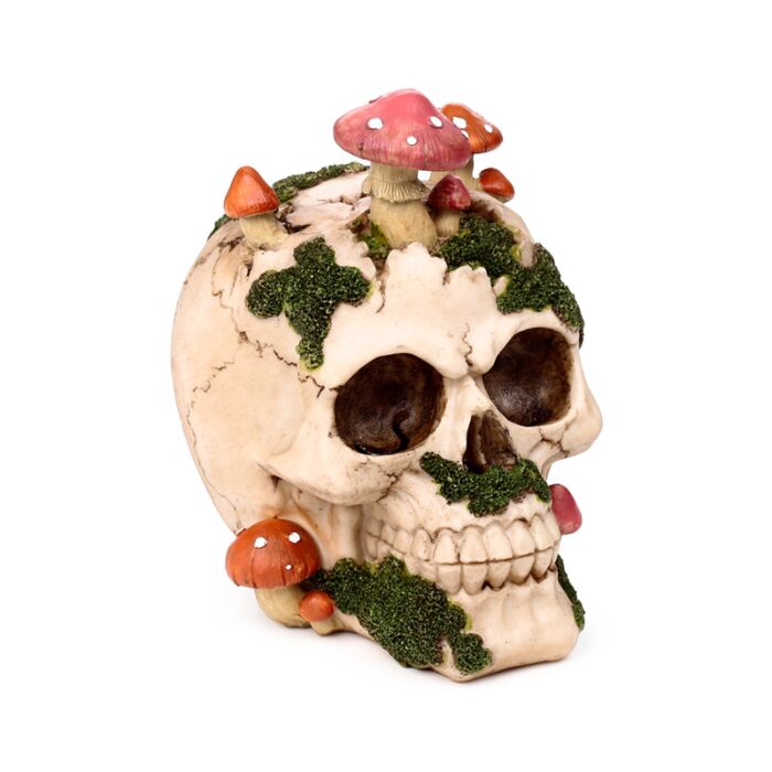 Figura Calavera con Setas y Musgo
