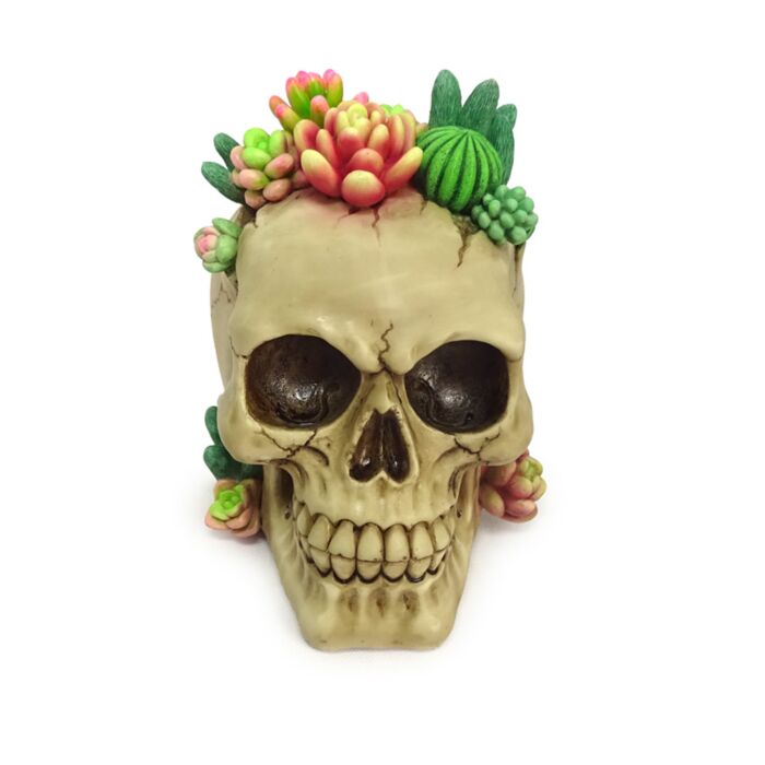 Figura Calavera con Plantas Suculentas 