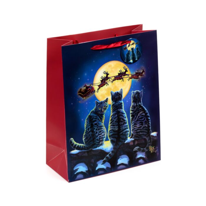 Bolsa de Regalo Lisa Parker Gatos de Navidad Grande