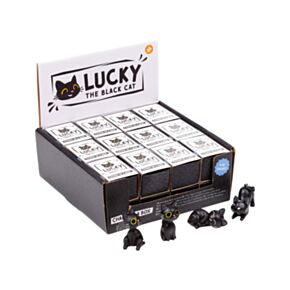 Amuleto en Caja Gato Negro Lucky the Black Cat