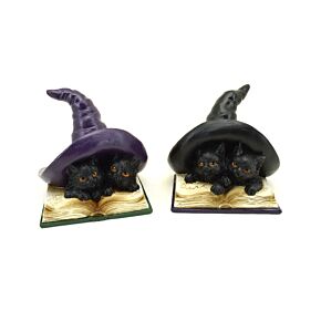 Figura Gatos Negros Mágicos de Brujas aprendiendo hechizos
