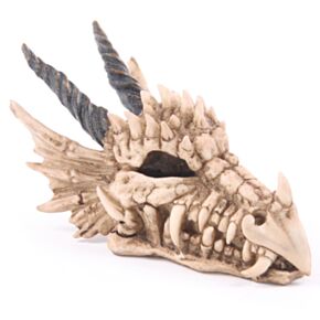 Hucha Calavera Dragón
