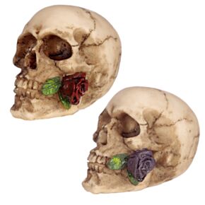 Figura Calavera Calavera y Rosa en los Dientes