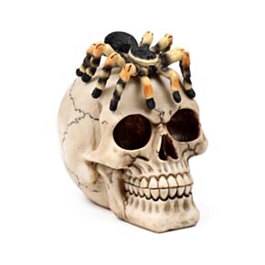 Figura Calavera con Araña 