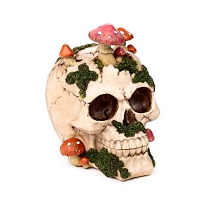 Figura Calavera con Setas y Musgo