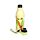Botella Térmica de Acero Inoxidable Rana de Árbol Tropical 500ml