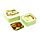 Set de 3 Fiambreras Táper M/L/XL Rana de Árbol Tropical