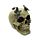 Figura Calavera con Mariposas Metálicas
