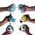 Juguete Estrujable de Peluche Queasy Squeezies Animales Marinos