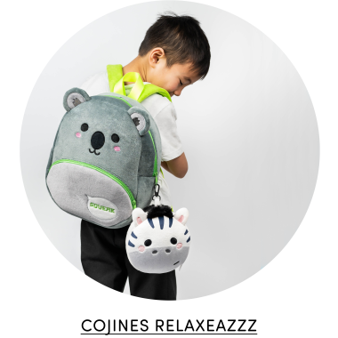 Almohadas de Viaje